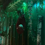 La Oasis